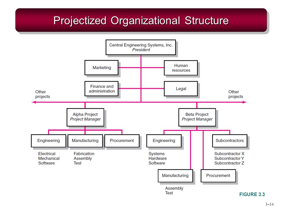 Types of Organizational Structure